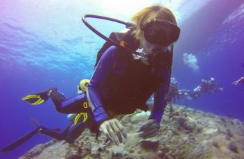 diver-under-the-sea-887826